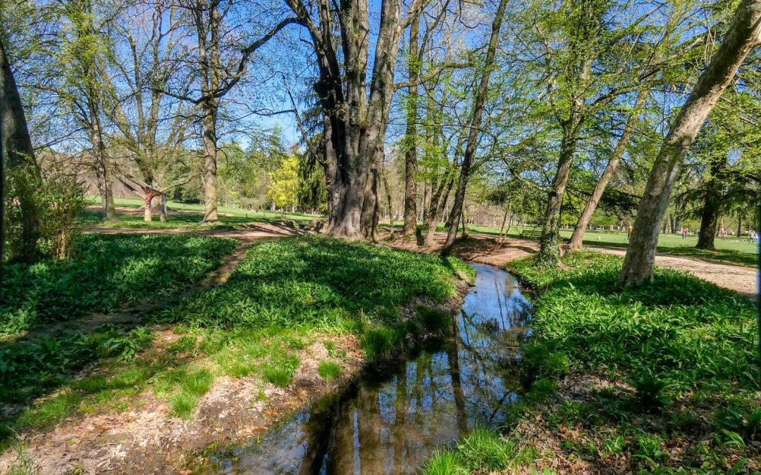 Festival del Parco di Monza