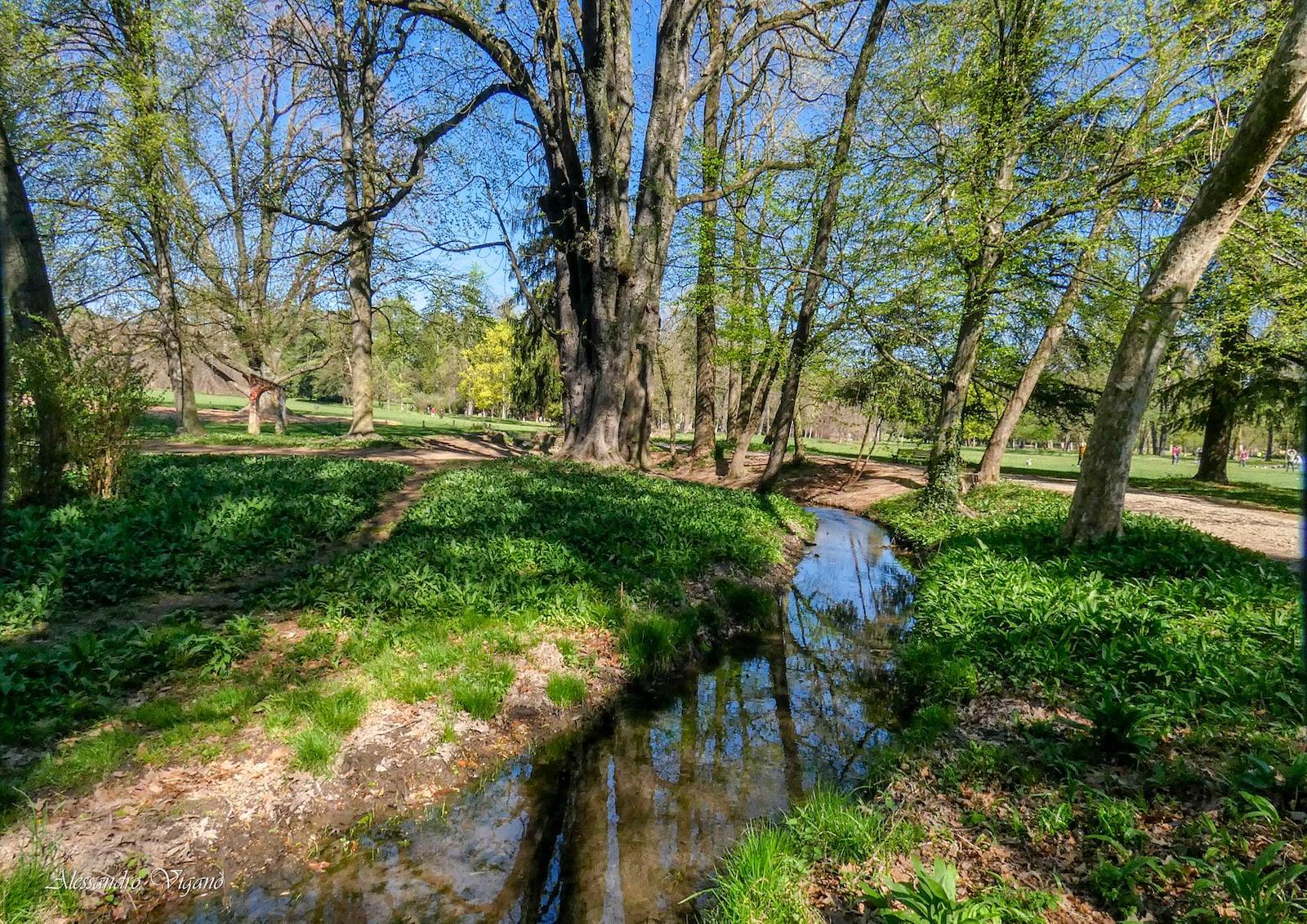 Festival del Parco di Monza
